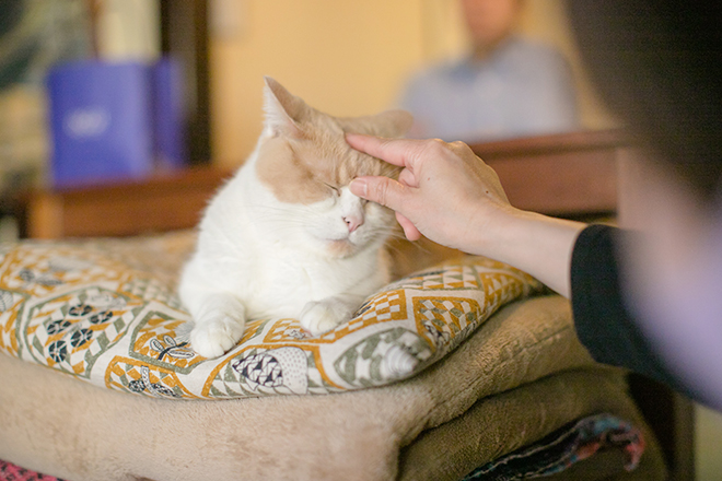 子分ブログ2_師匠の甘え顔